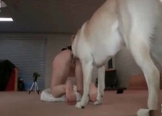 Little puppy fucks her small snatch