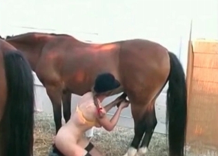 Deep blowjob for a hot mare