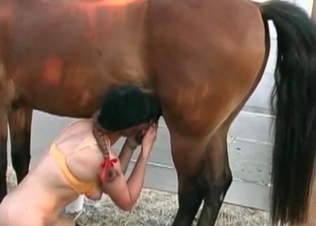 Deep blowjob for a hot mare