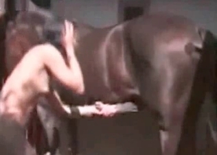 Big horse shoots a nice load