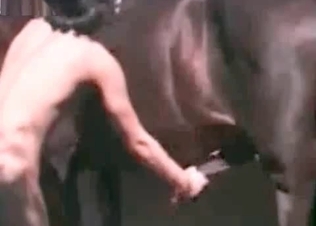 Big horse shoots a nice load