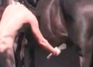 Big horse shoots a nice load