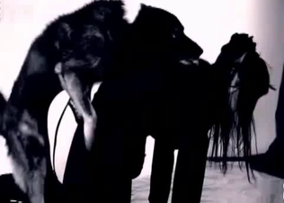 Enjoyable bestial action with a girl