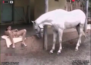 Asian goddess gives her horse a head