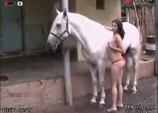 Asian goddess gives her horse a head
