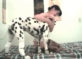 British Dalmatian enjoys nasty sex