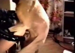 Tall British dog fucks like a god