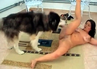 Husky penetrates a slender Asian girl