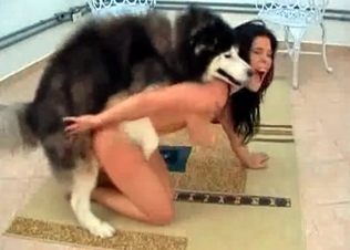Husky penetrates a slender Asian girl