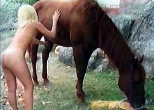 Hardcore sex with a spicy horse