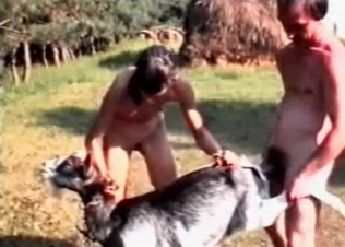 Animal sex in the anal style