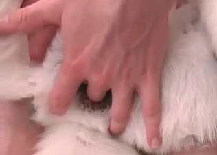 Small doggy enjoys small dick