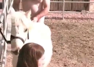 Small pony and two sicy bitches