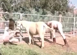 Small pony and two sicy bitches
