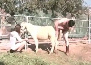 Small pony and two sicy bitches