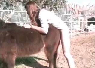 Small pony and two sicy bitches