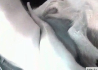 Small ass of a nice lil doggy