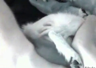 Small ass of a nice lil doggy