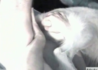 Small ass of a nice lil doggy