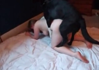 Big ass looks nice for the animality
