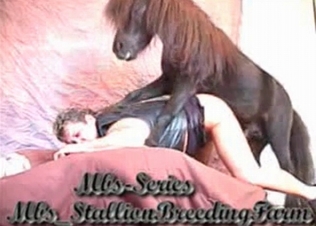 Pony fucks in the doggy style pose