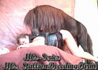 Pony fucks in the doggy style pose