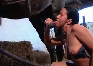 Tanned bitch wanks a horse dick