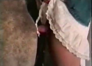 Dildo anal sex with a horse