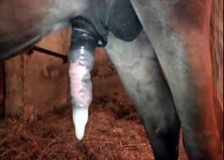 Small pony is so submissive