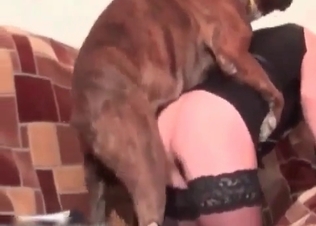Boxer is eating her tight wet cunt