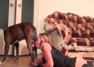 Boxer is eating her tight wet cunt
