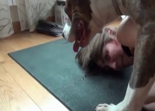 Doberman cums in a zoophile anal hole