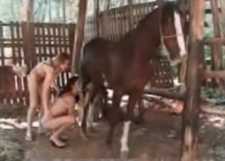 Big horse and a couple of girls