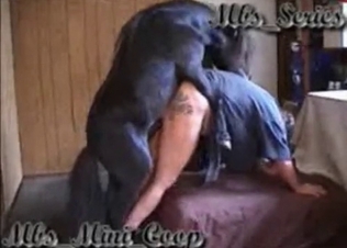 Small stallion fucks her asshole