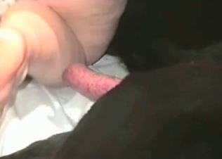 Babe is sitting on a doggy dick