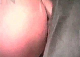 Nasty sex with a nice stallion