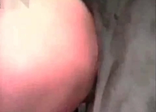 Nasty sex with a nice stallion