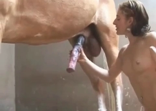 Horse is cumming a huge dose