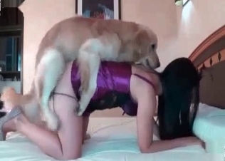 Dog got stucked in her vagina