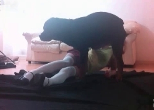 Tattooed schoogirl and her doggy