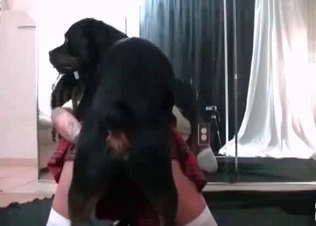 Tattooed schoogirl and her doggy