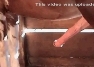 Nasty action with a cute doggy