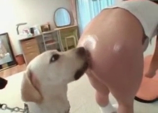 Enjoyable animal sex action with a dog