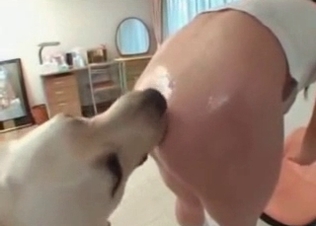 Enjoyable animal sex action with a dog