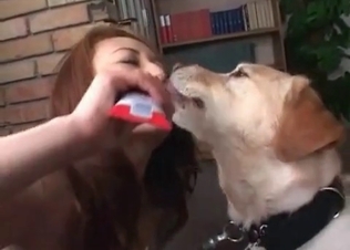 Big trained dog licks her small snatch