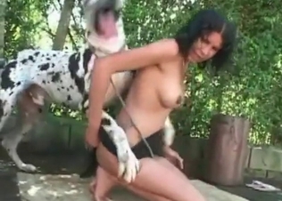 Dalmatian enjoys her little twat