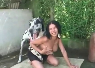 Dalmatian enjoys her little twat