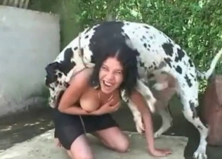 Dalmatian enjoys her little twat