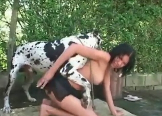 Dalmatian enjoys her little twat