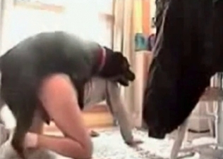 Black hound fucks in the doggy pose